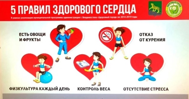 Здоровое сердце ребенка.