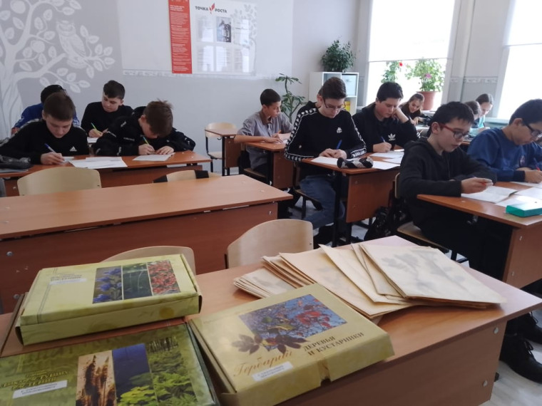 «Гербарий – это главный документ растения».